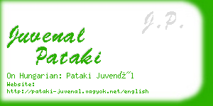 juvenal pataki business card